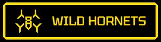 Wild Hornets Canada-Toronto branch